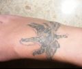 Tatuaje de cavilop2006