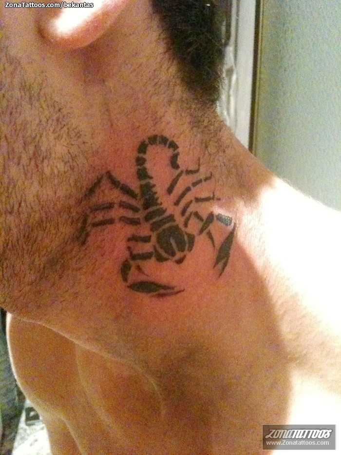 Tatuaje Escorpiones Haz click para ver la siguiente foto tattoo escorpiones