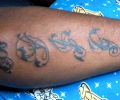 Tatuaje de bralu