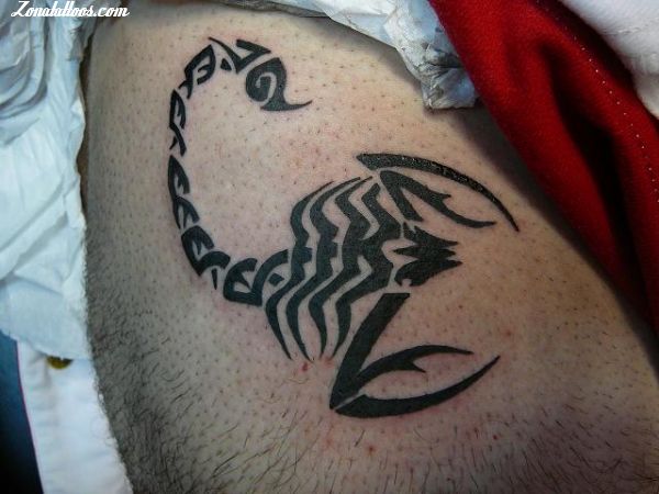Tatuaje Escorpiones Haz click para ver la siguiente foto