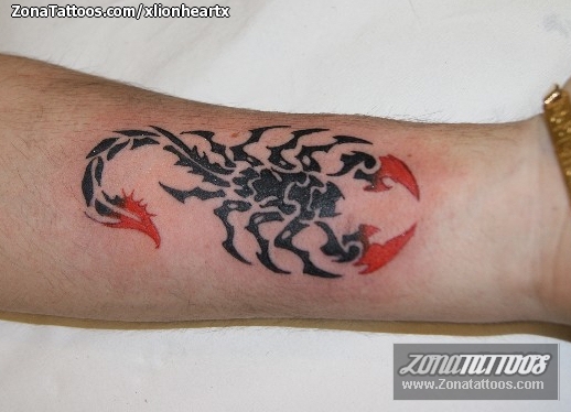 tatuaje escorpion tribal Haz click para ver la siguiente foto