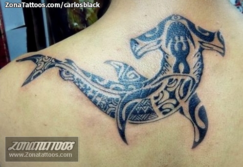 Shark tattoos on the arm collection of designs  Tattooing