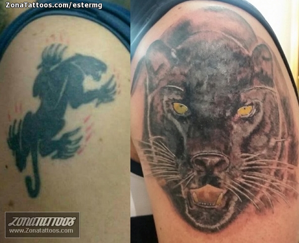Panther Tattoos  Designs Ideas  Meaning  Tattoo Me Now