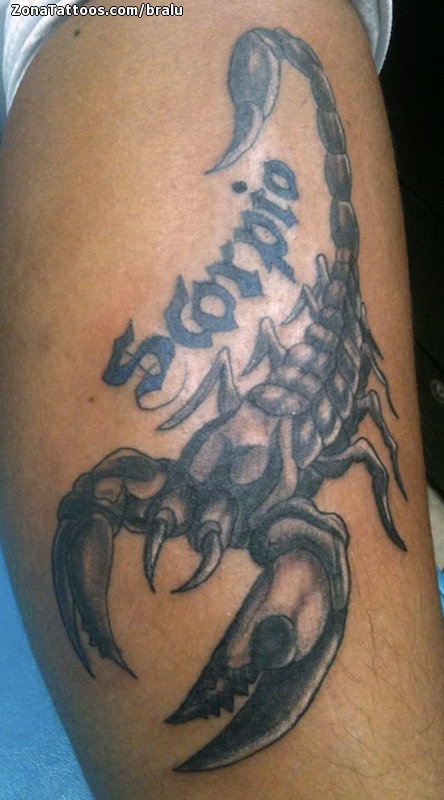 Tattoo of Scorpions