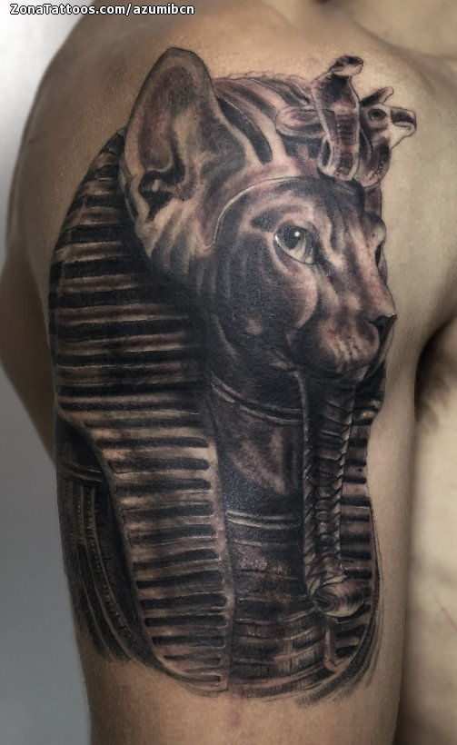 egyptian sphinx tattooTikTok Search