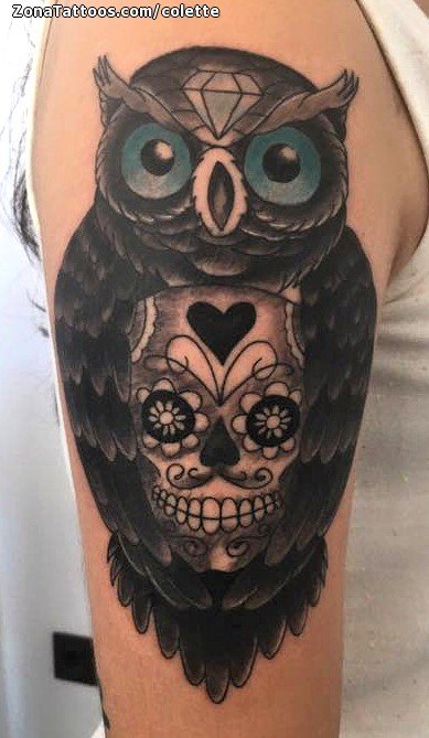 Premium Vector  Tattoo art owl holding a skull and flower hand drawing  sketch black and white