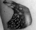 Tattoo of jandepora