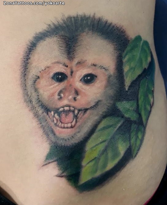 Tattoo of Monkeys, Animals