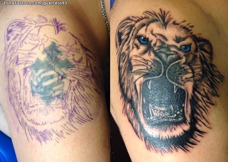Tatuaje de Leones, Animales, Cover Up