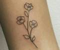 Tatuaje de ziel