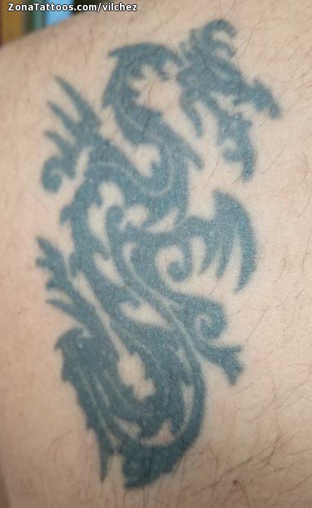 Discover more than 75 kung fu tattoos tiger and dragon  ineteachers
