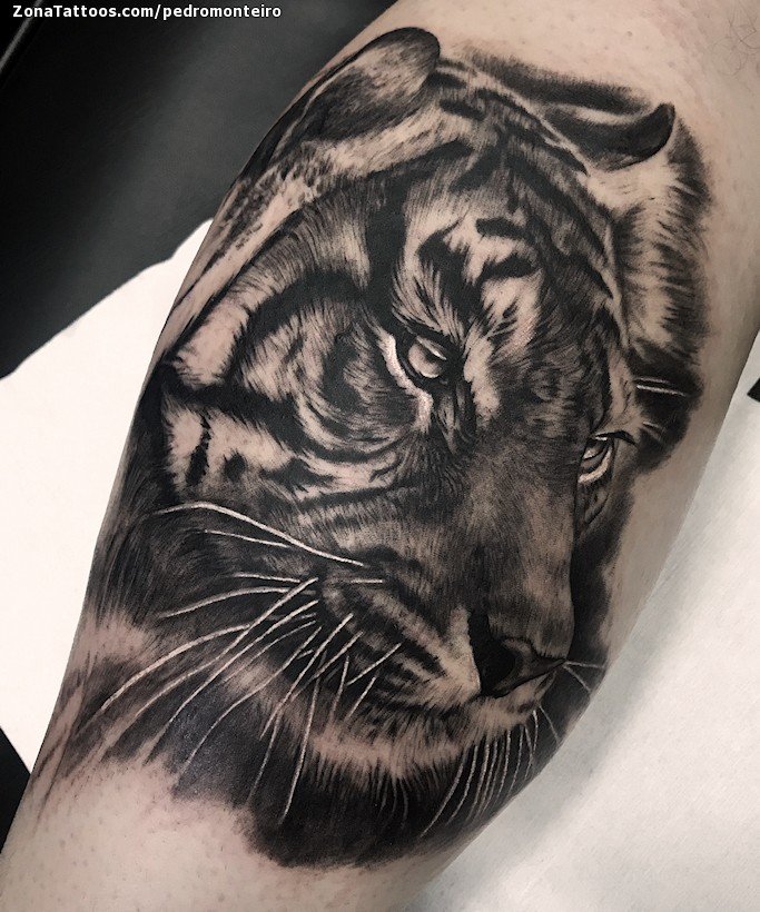 Tattoo of Tigers Animals