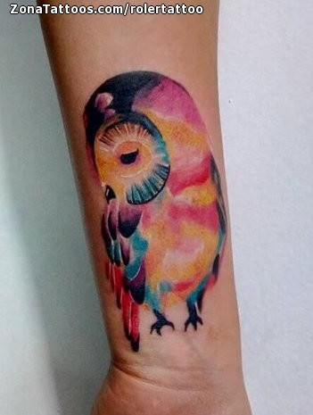 Top 15 Watercolor Barn Owl Tattoo Designs  Tat Hit