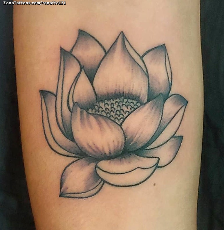 Got to do this gorgeous pepper shaded lotus today Perfectly fit the gap we  were filling   Instagram
