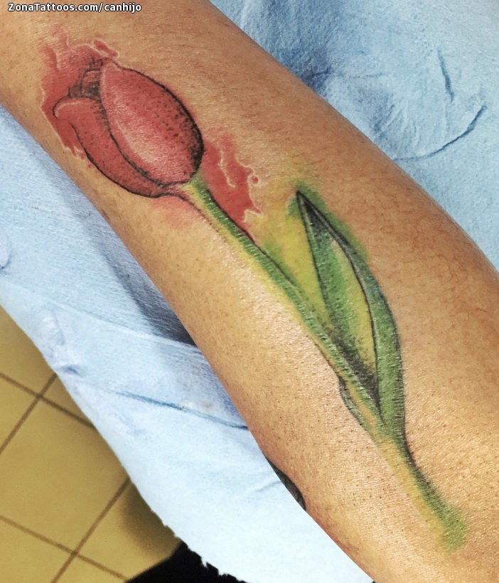 Tattoos and Tattoo Flash: Tulips