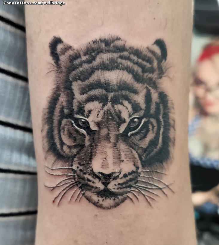 Tattoo of Tigers, Animals, Arm