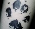 Tatuaje de Ilse_Zamora
