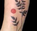 Tatuaje de tatimp_