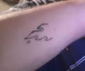 Tatuaje de Anb_Tattoo