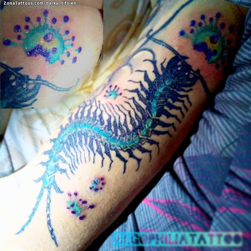 Tatuaje de Darky_Tifoien