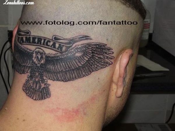 Tatuaje de Cabeza, Águilas, Aves