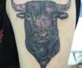 Tatuaje de lobo1331