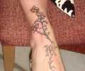 Tattoo of laninia