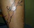Tatuaje de Kilombo