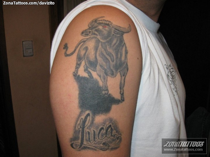 Tattoo of Bulls, Animals