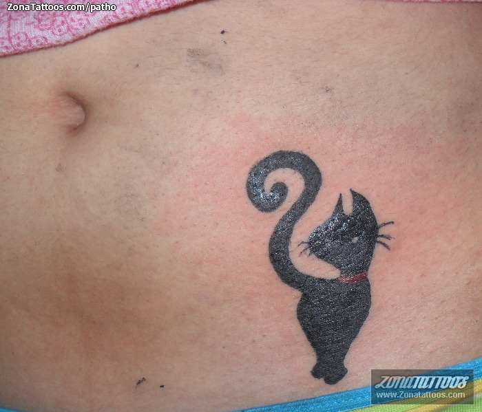 Tattoo uploaded by Xavier  Black cat portrait tattoo  Tattoodo