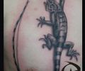 Tatuaje de ozkar_tattoo