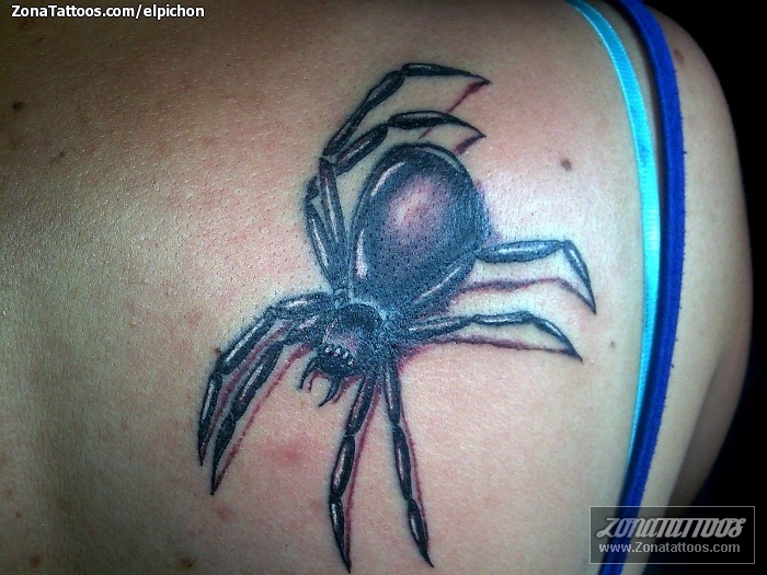 How to draw spider tattoo designs  Draw so cute spider  YouTube