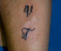 Tatuaje de kktua