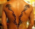 Tatuaje de Lilysauria