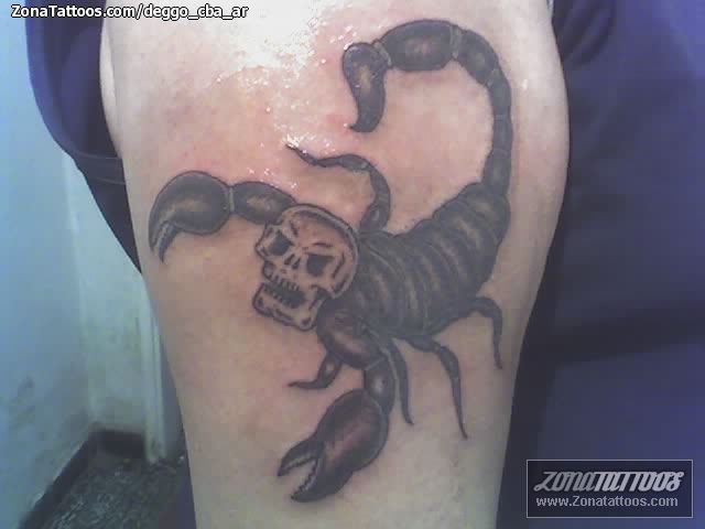 Scorpion with Skull  Done by Rafael at Frontier Tattoo Parlour in Cardiff   rtattoo