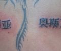 Tatuaje de TattooDe
