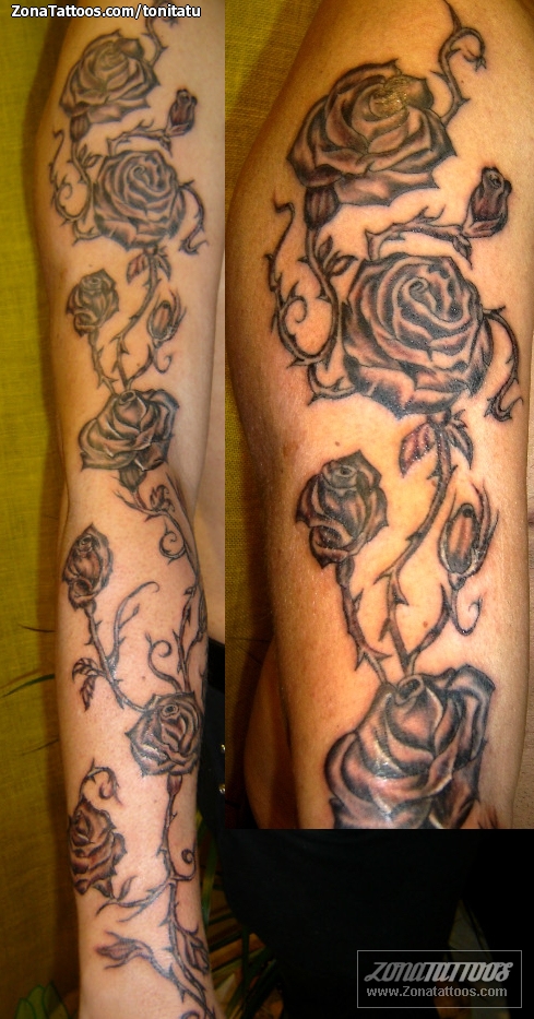 Rose and Thorns Tattoo Outline  Outlinepics