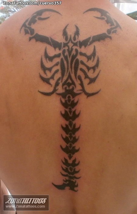Femink Tattoos  Scorpion tattoo with colour  Facebook