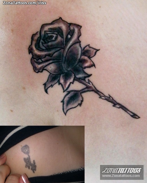 Tatuaje de Iriss