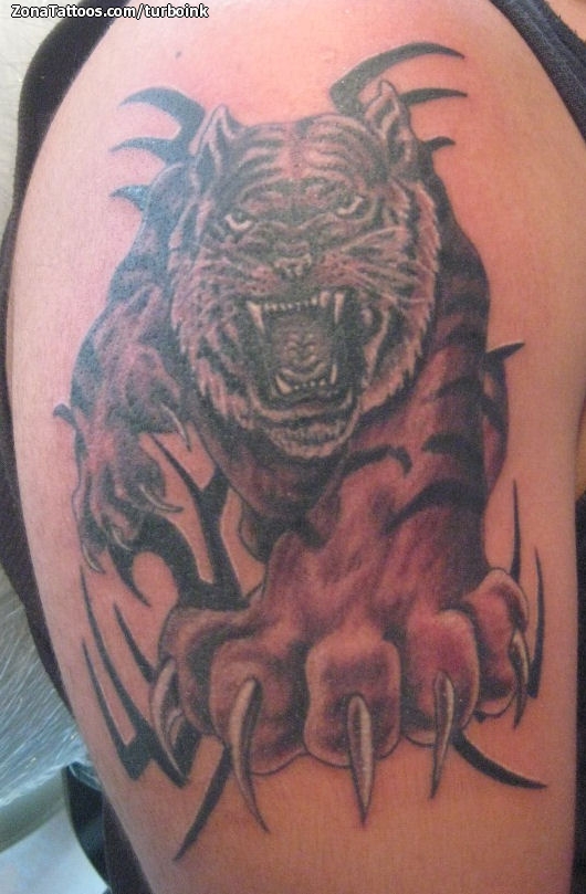 Tattoo of Tigers, Tribal