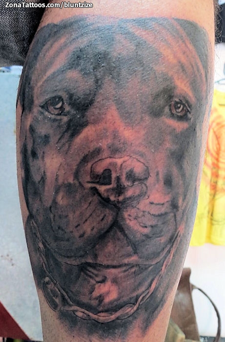 Tatuaje de Perros, Animales, Pitbulls