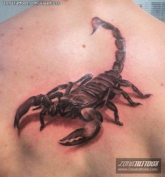 Tattoo of Scorpions, Insects, Back