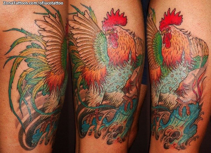 Tattoo of Birds Chickens Animals
