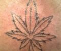 Tatuaje de dnl55_63