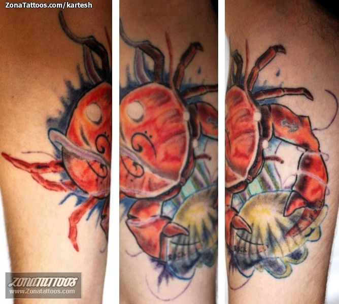 Tattoo of Crabs, Jellyfish, Animals