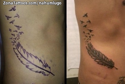 un acreedor garrapata Por cierto Tatuaje de Plumas, Aves, Siluetas