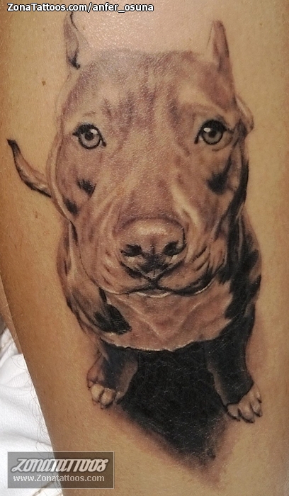 Tattoo of Dogs, Animals, Pitbulls