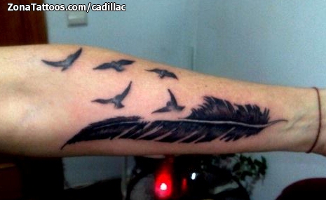 Tatuaje de Plumas, Antebrazo