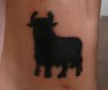 Tattoo of Parasargo