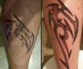 Tatuaje de tattootomy